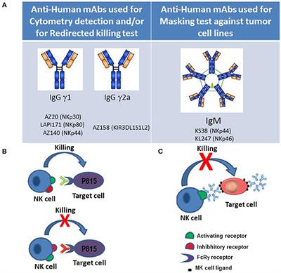 From Natural Killer Cell Receptor Discovery to Characterization of Natural Killer Cell Defects in Primary Immunodeficiencies